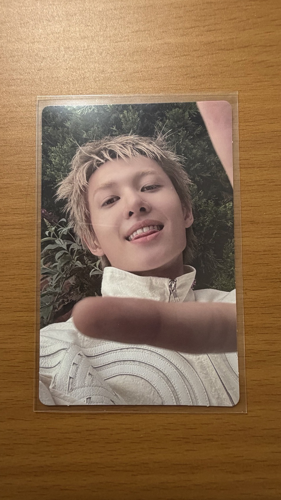 Cortis 美專通路/馬/訓