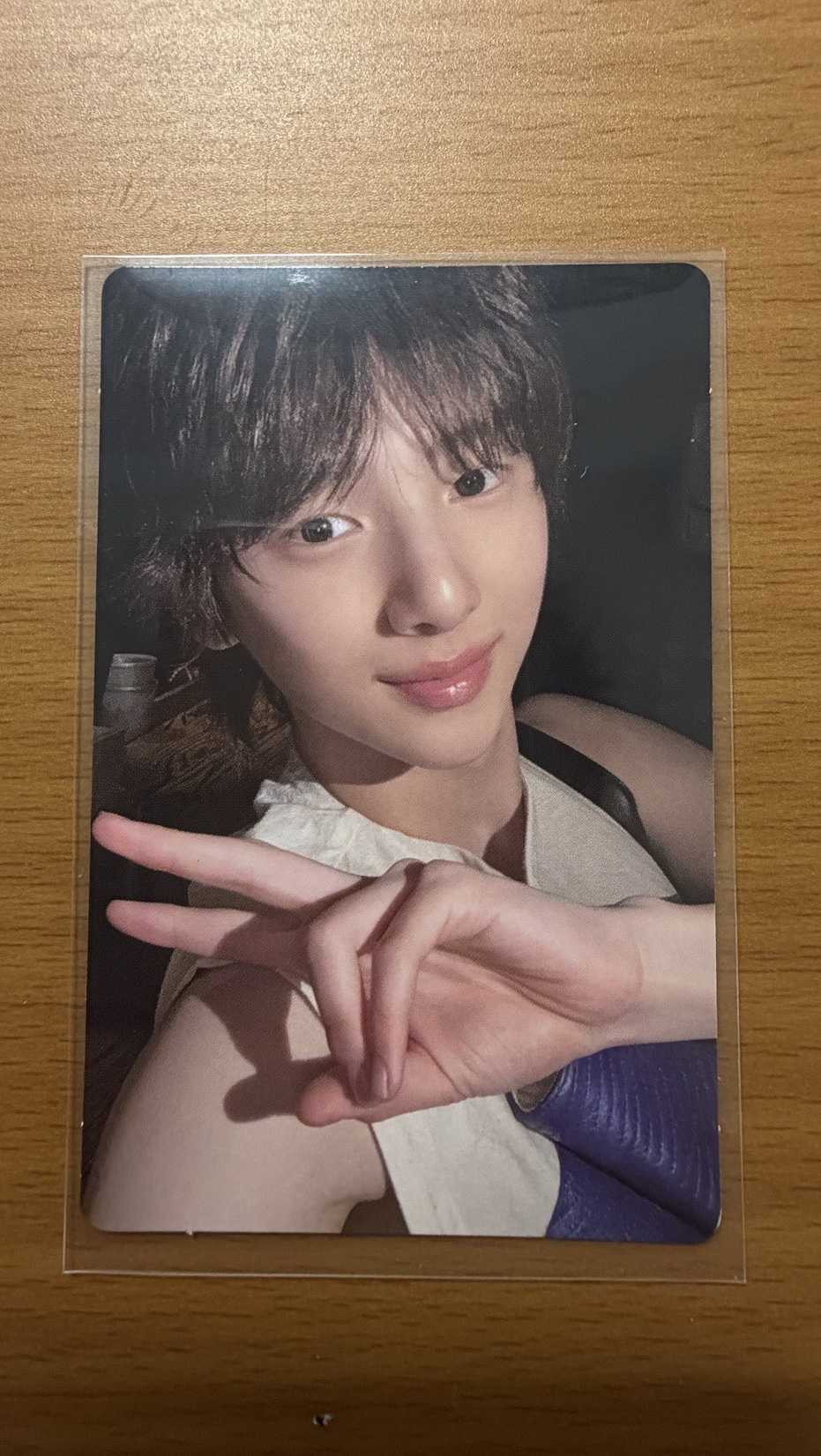 Cortis 美專通路/馬/訓