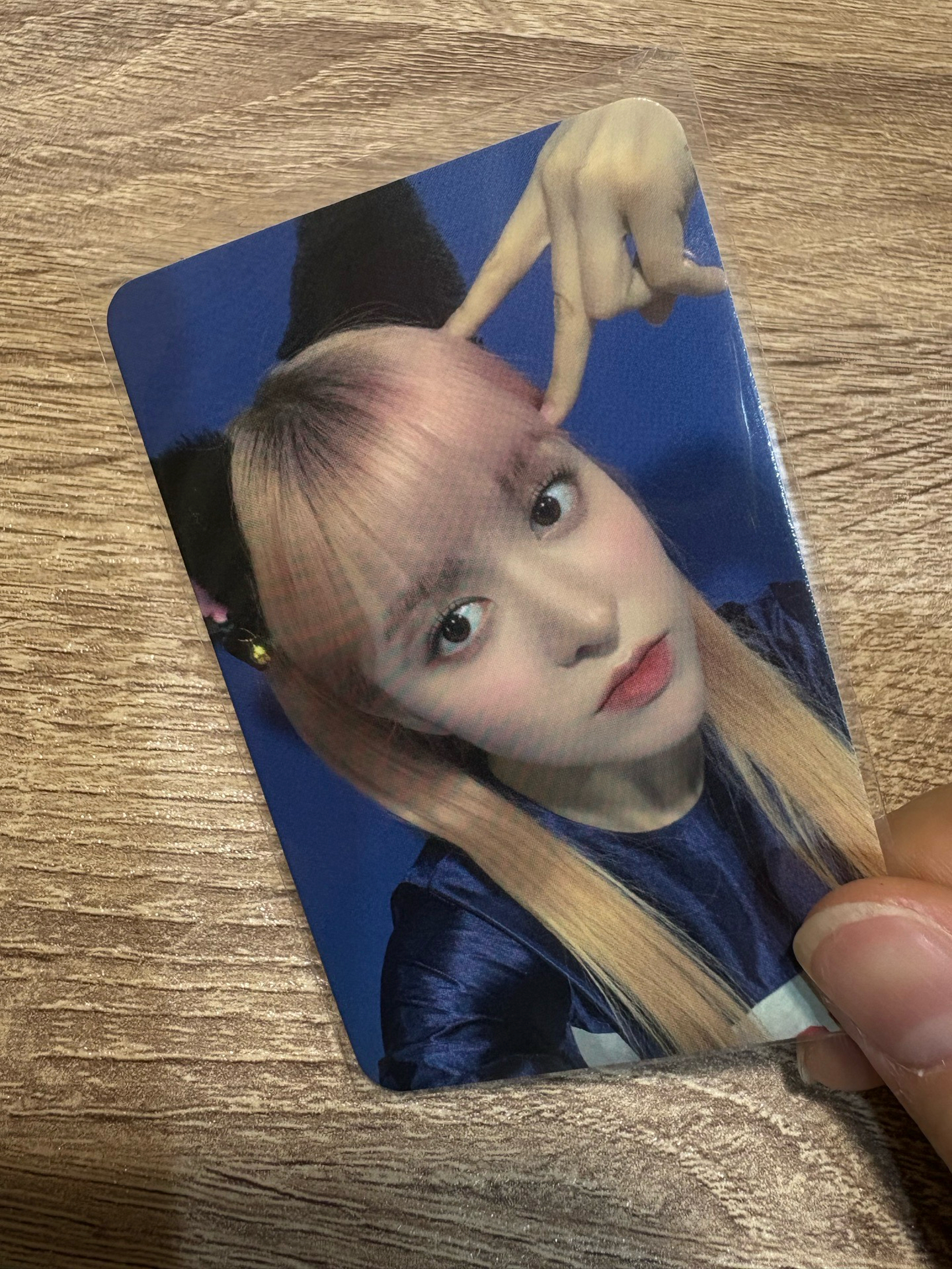 黑白貓（需一起帶）