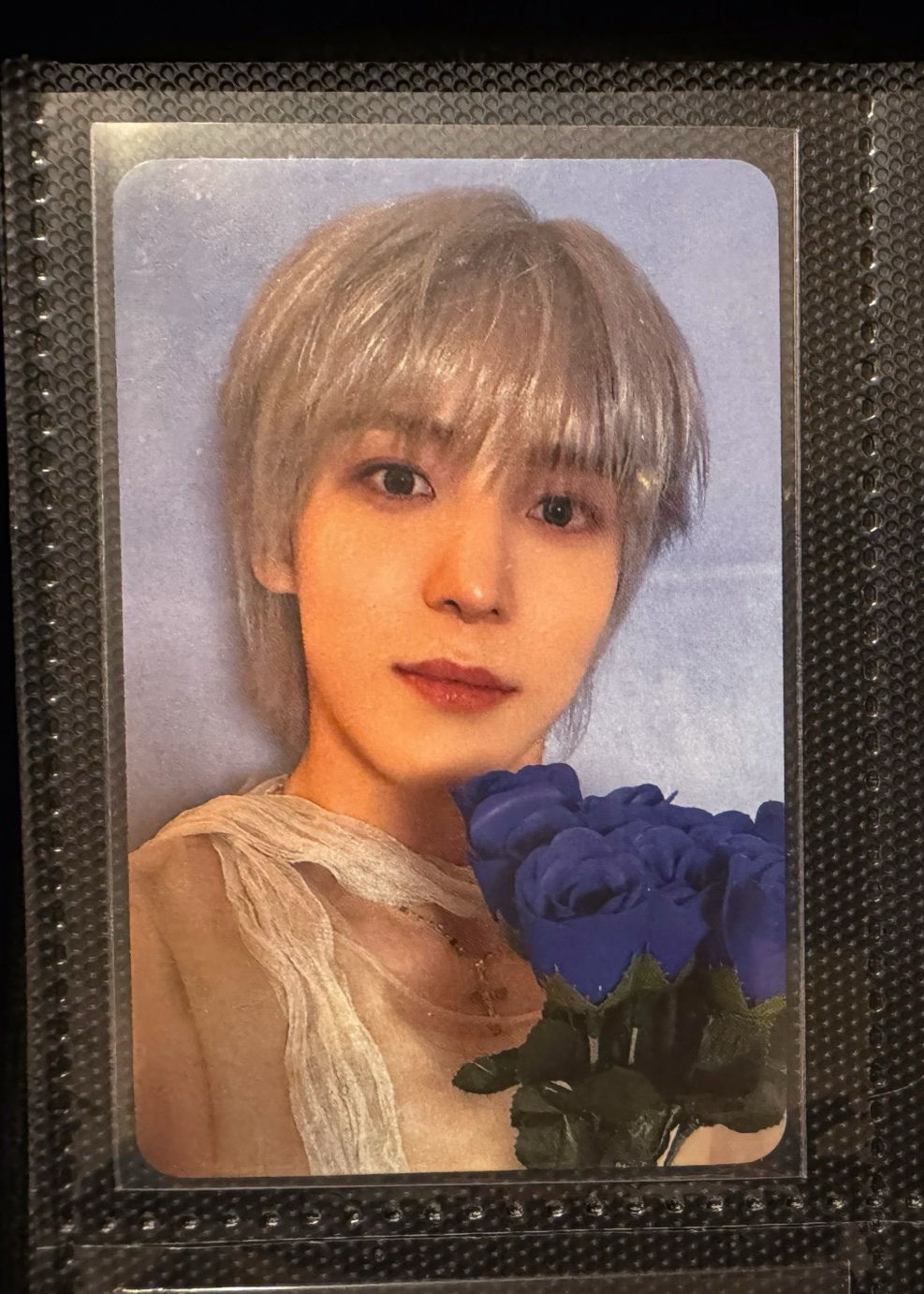 藍捧花潤浩單人