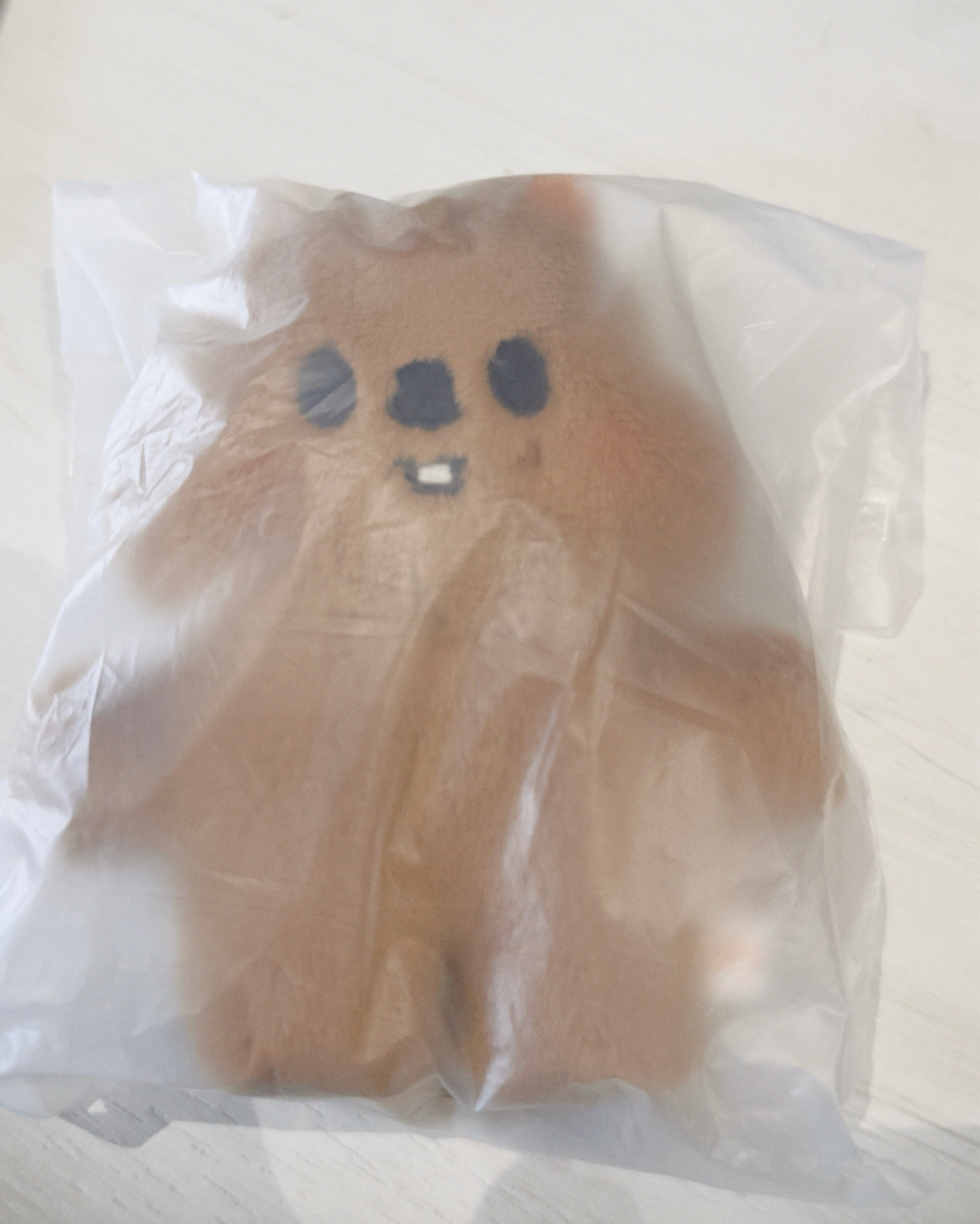 闊卡 磁吸站娃（domainATE:celebrATE 快閃店）