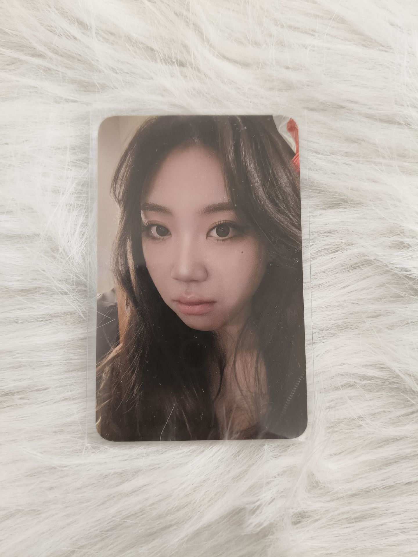 李泳知2026高雄櫻花季小卡