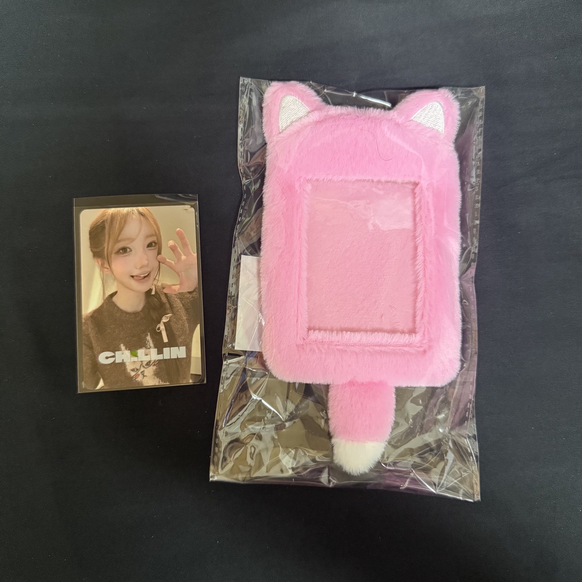 QWER 台北場 絨毛卡套含卡（現貨）