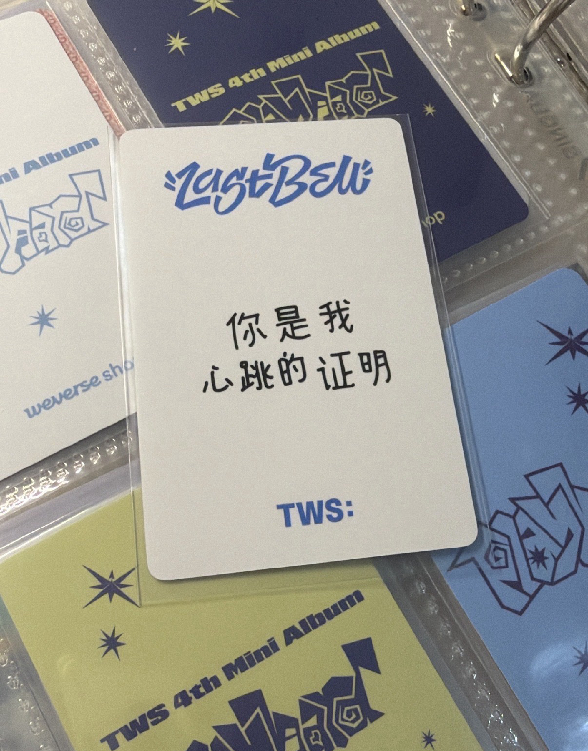 TWZ 志薫yzy中背