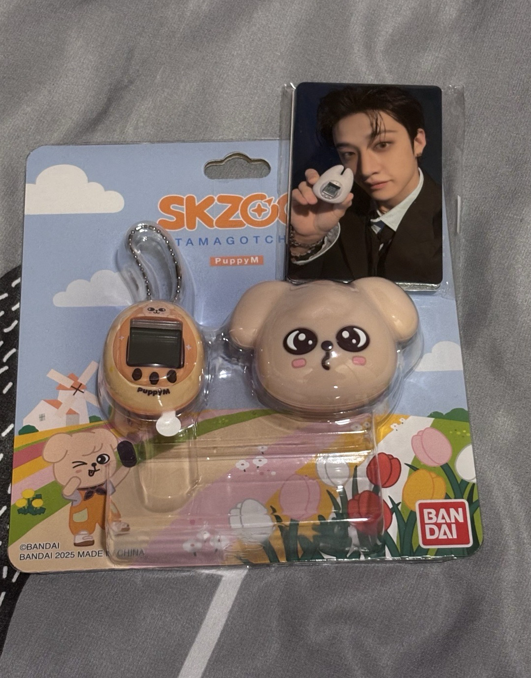 ✅SKZ 寵物雞 玟