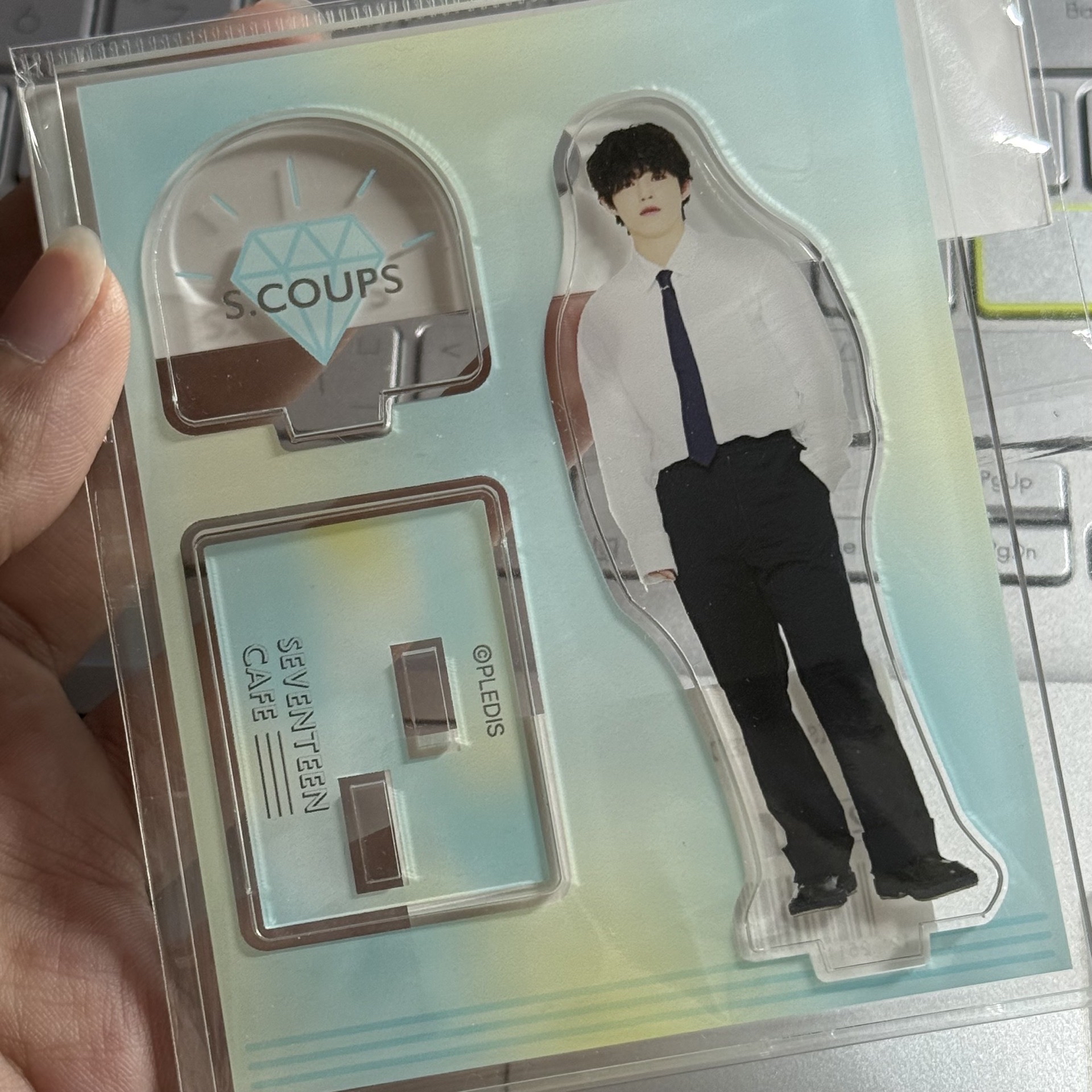 卷毛哲立牌(未使用)