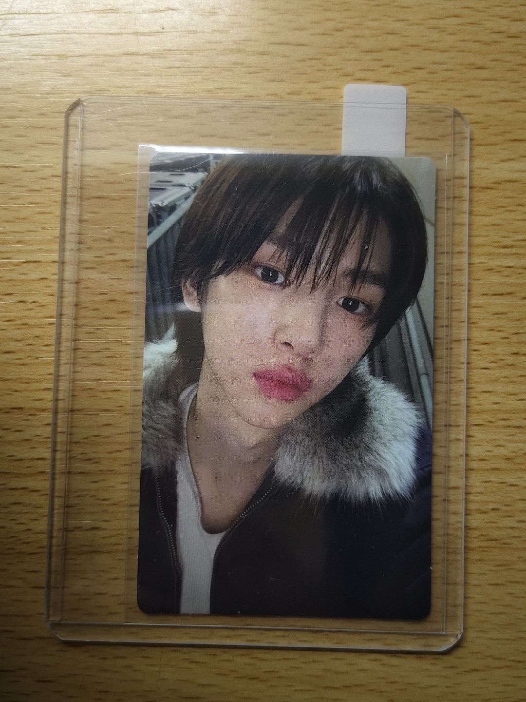 2025 年末 wvs 特典訓