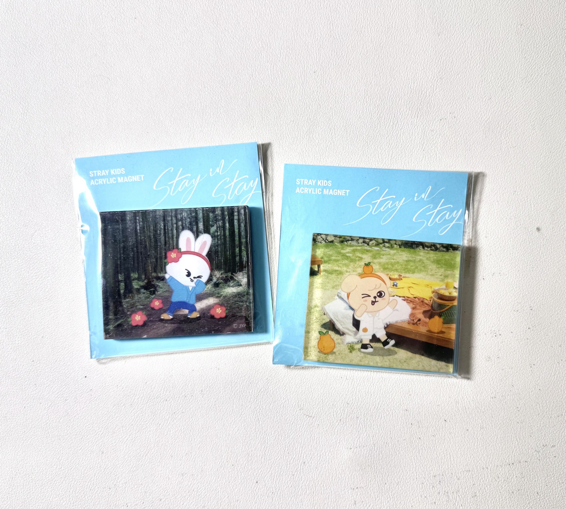 Stray Kids 磁鐵