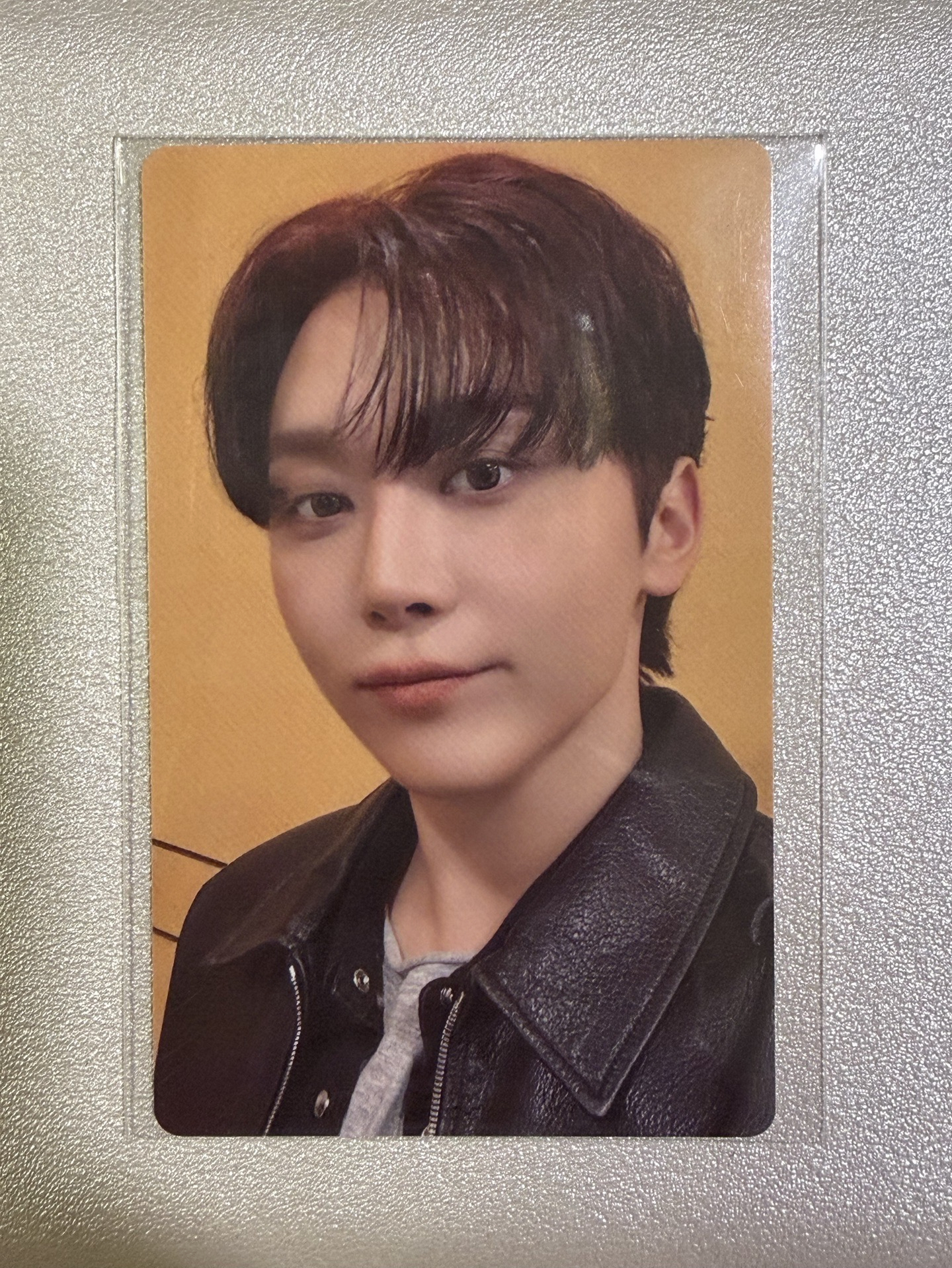 小夜曲 wvs 簽售特典 寛