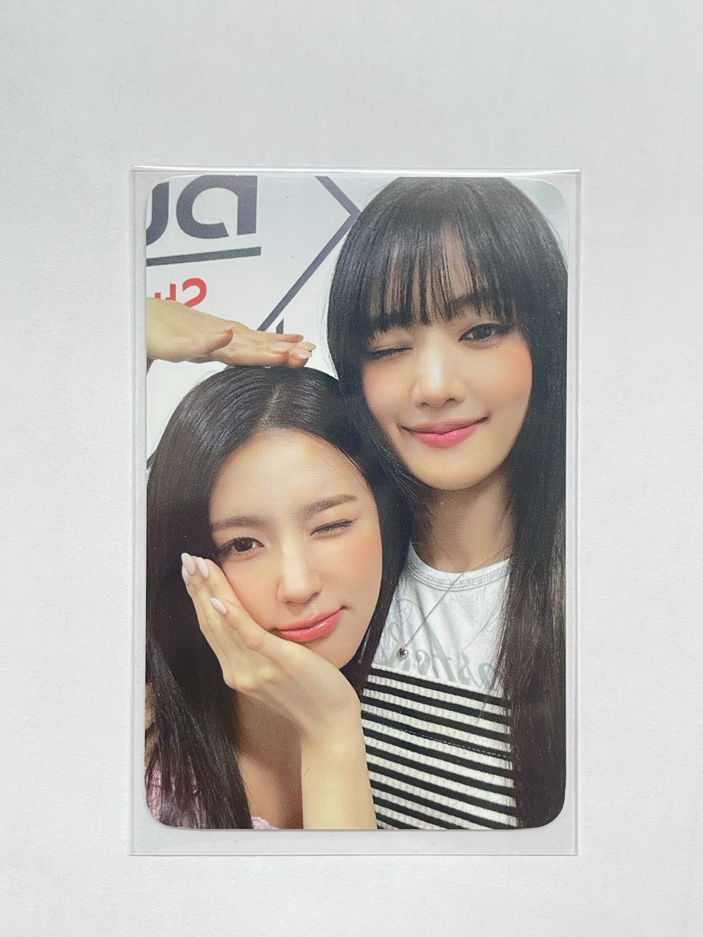 24’世巡演唱會 iDOL 卡冊卡 周邊卡 麵妮 雙人卡 分隊卡 狗狗姐妹