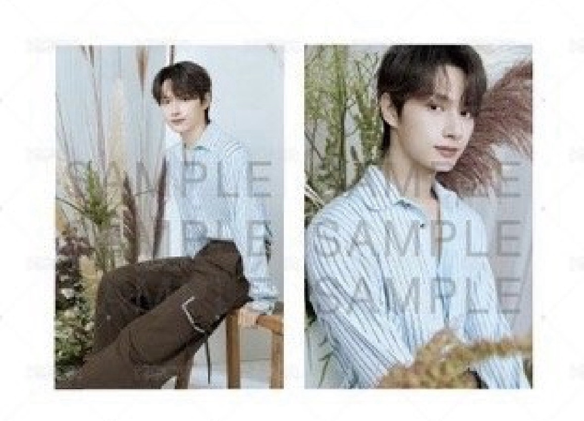 上海中籤八小盤