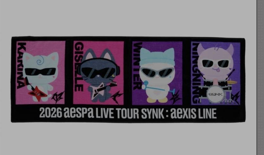 aespa阪蛋場玩偶手幅