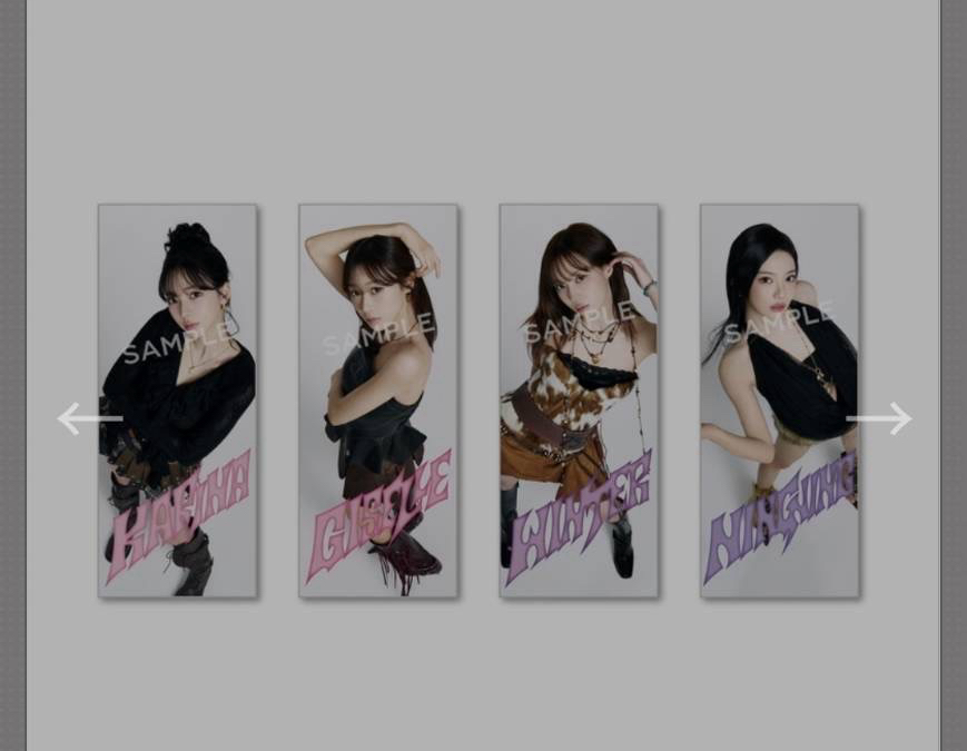 aespa阪蛋場手幅