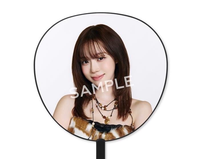 大王扇下單標注註成員