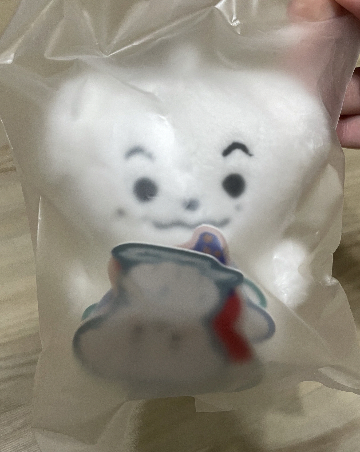 Anton 娃 長得跟小卡一樣的娃 