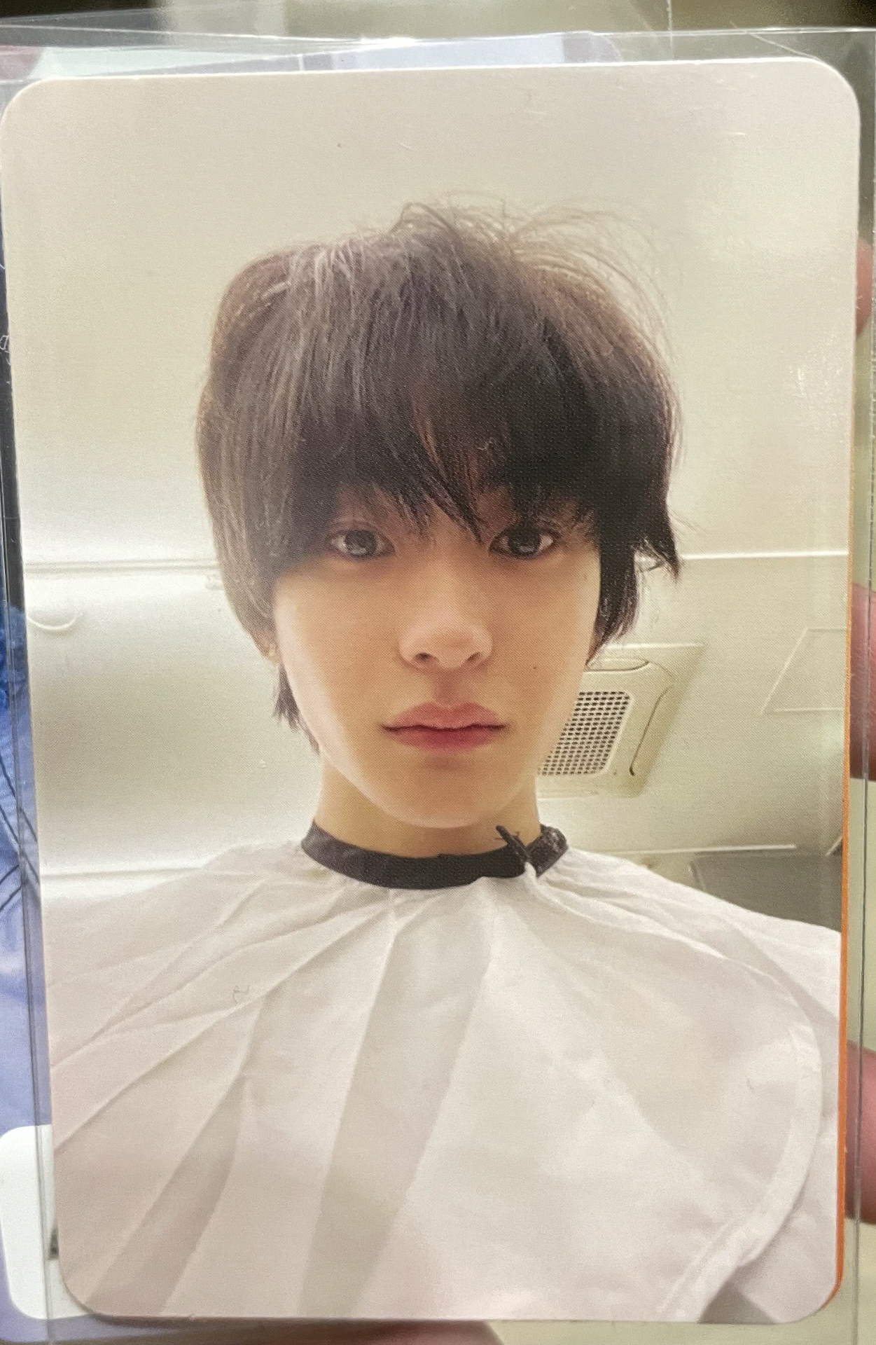 Anton 娃 長得跟小卡一樣的娃 