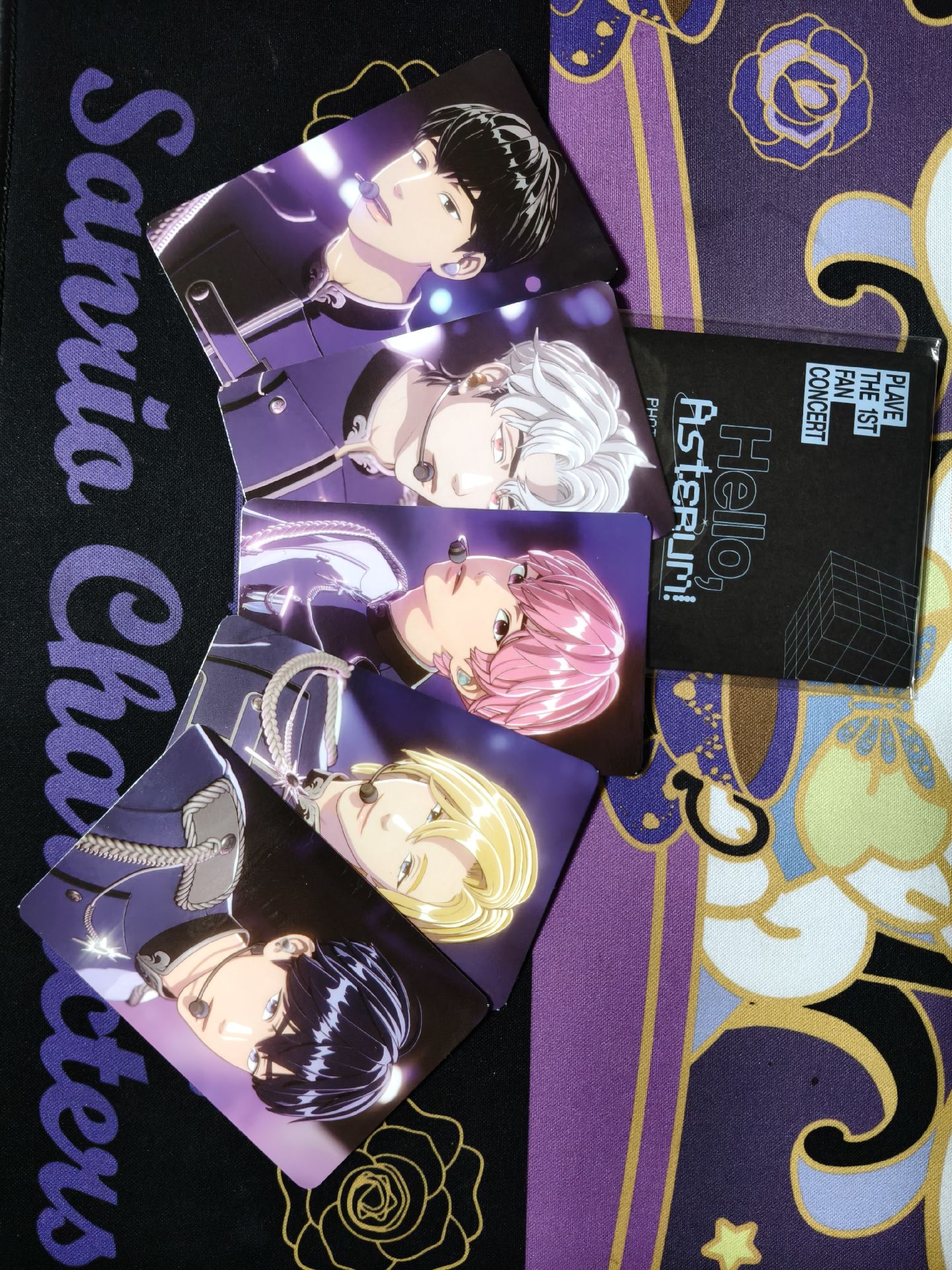 初演唱會4月卡包5人/組