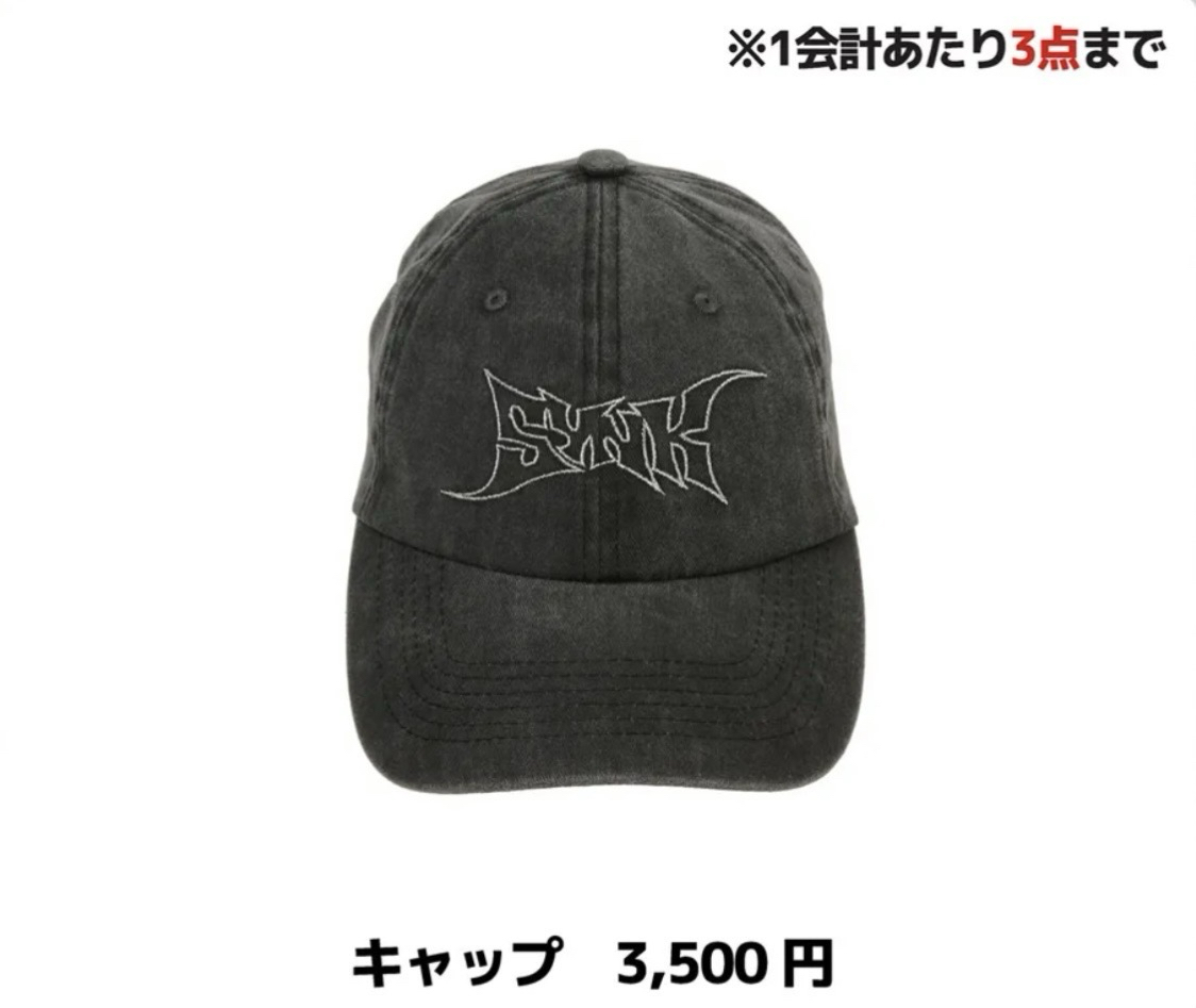 三巡日本場週 日巡帽子4/13親自帶回 已買到