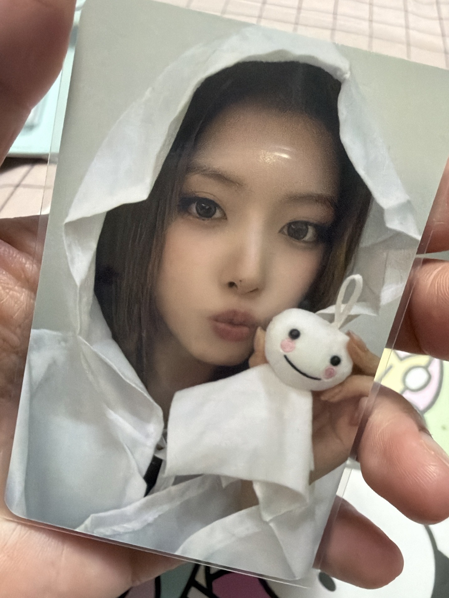 正規一 am 晴天娃娃友