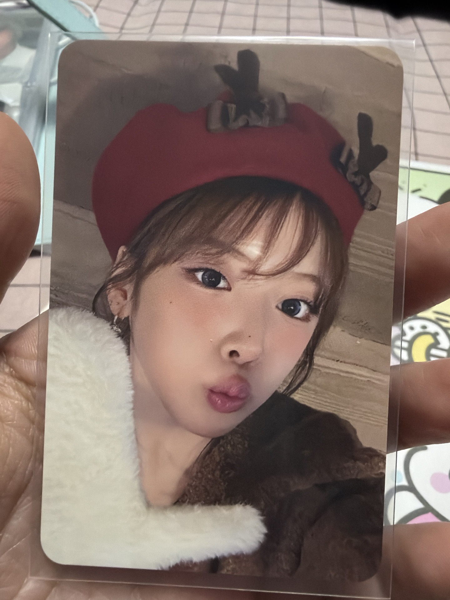 正規一 ms 上海 麋鹿友