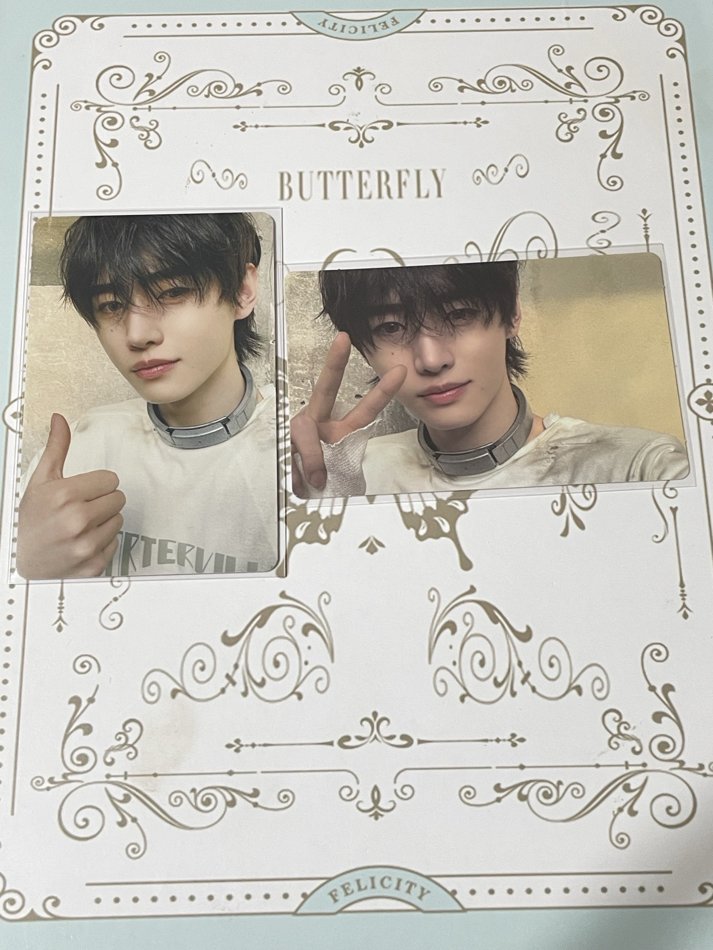 順毛小兔🐰 （2張不拆）