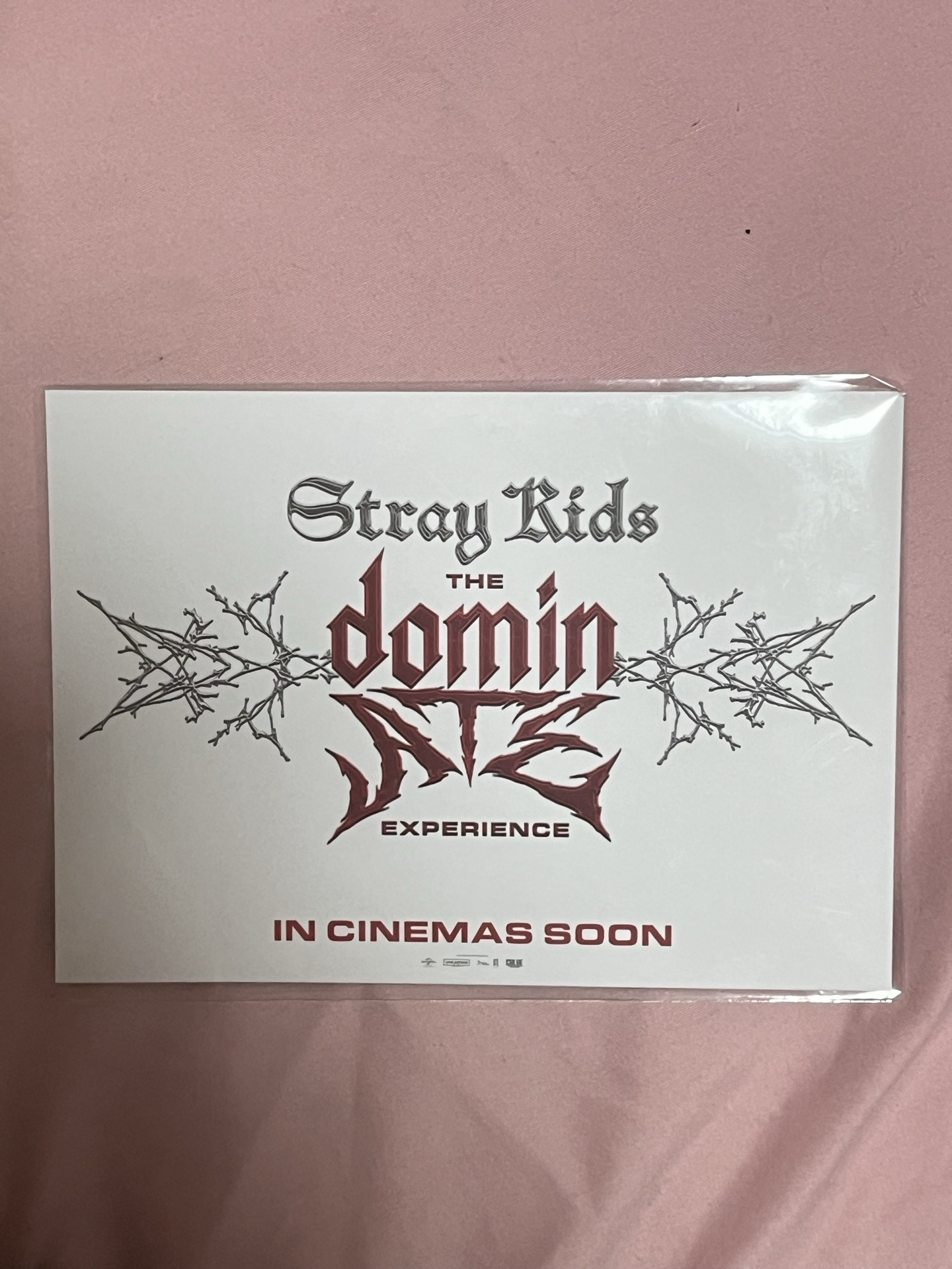 stray kids 電影明信片