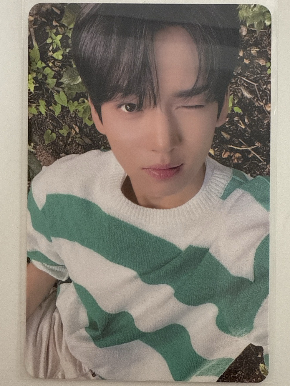 草地條紋踢恤清純男韓維辰