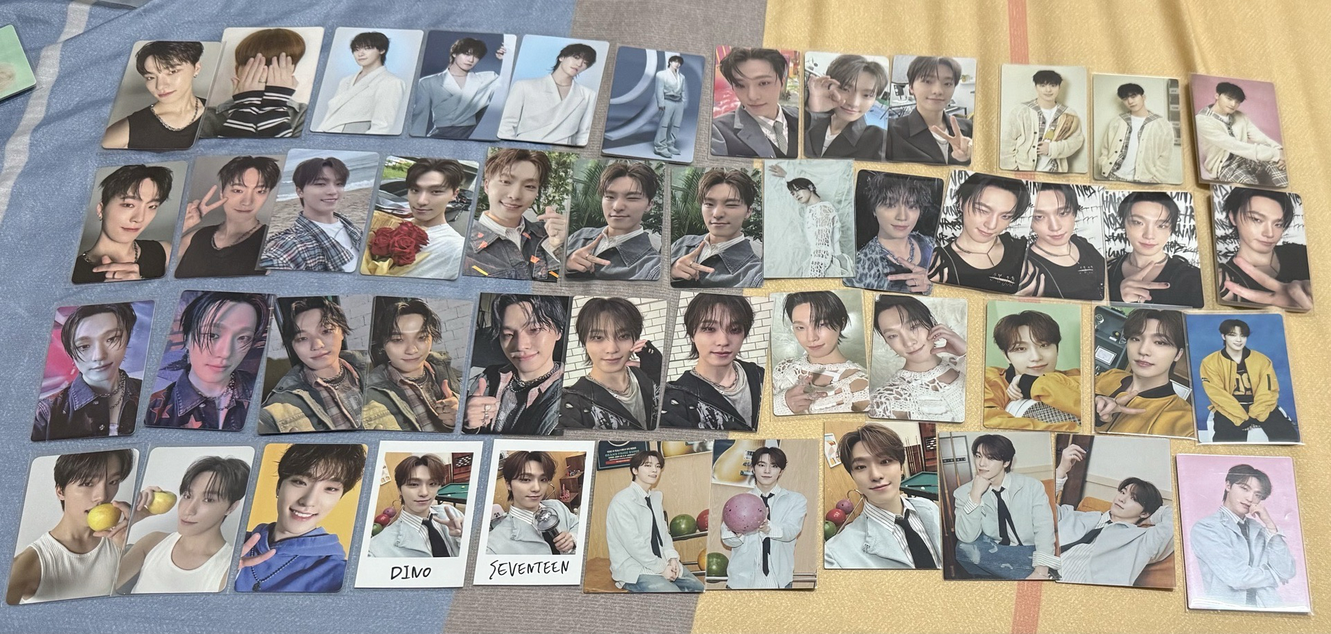 100%燦爛的DINO燦盤