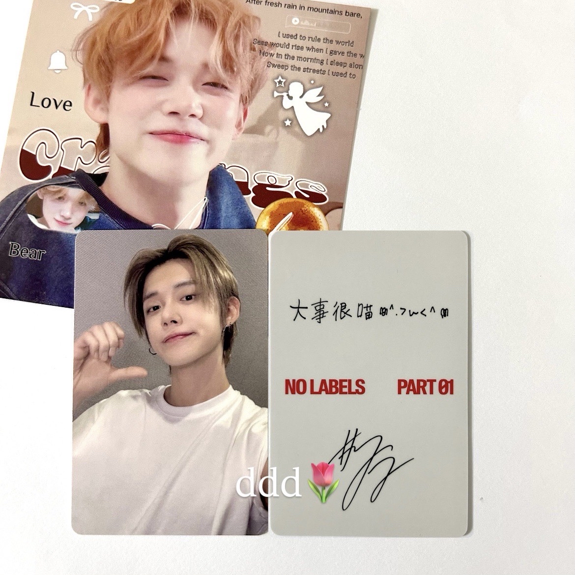 大事很喵 貓貓然竣の中文卡背