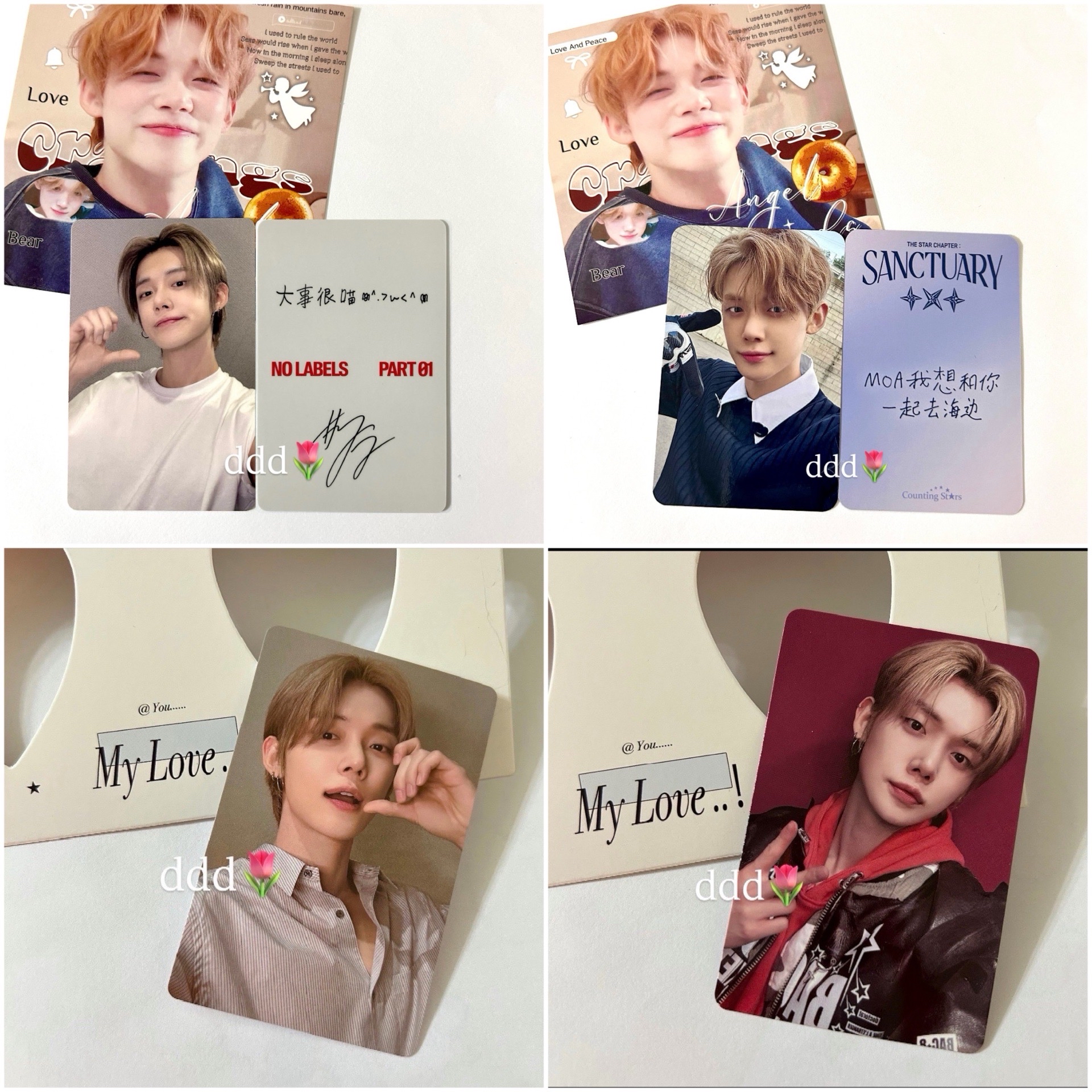 大事很喵 貓貓然竣の中文卡背