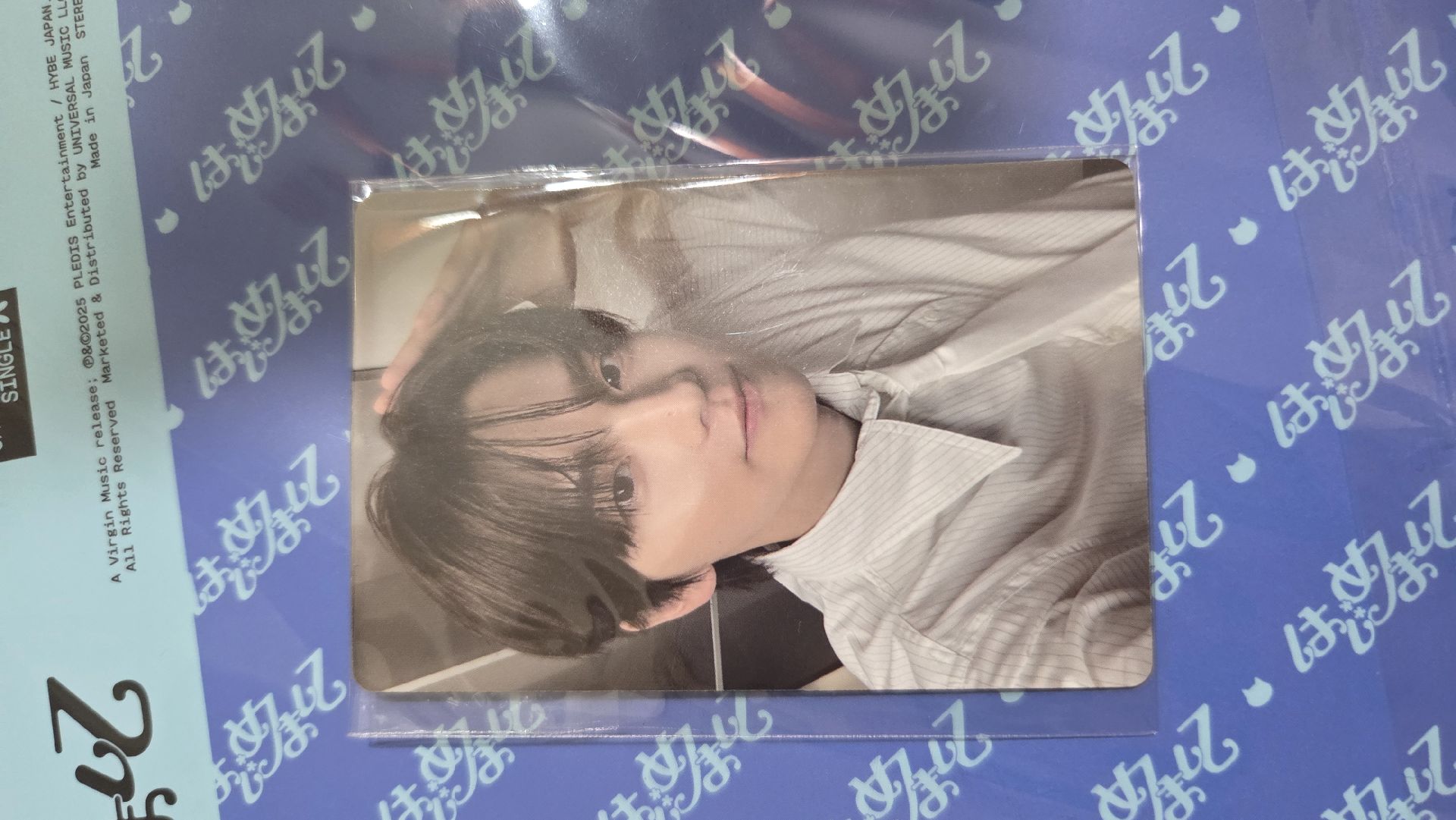 申惟 小狗耳 專卡