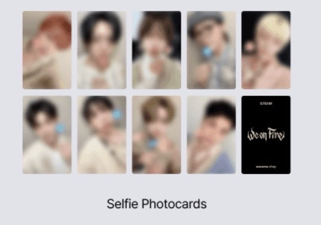 wvs個人單封早鳥特典卡｜拆盤