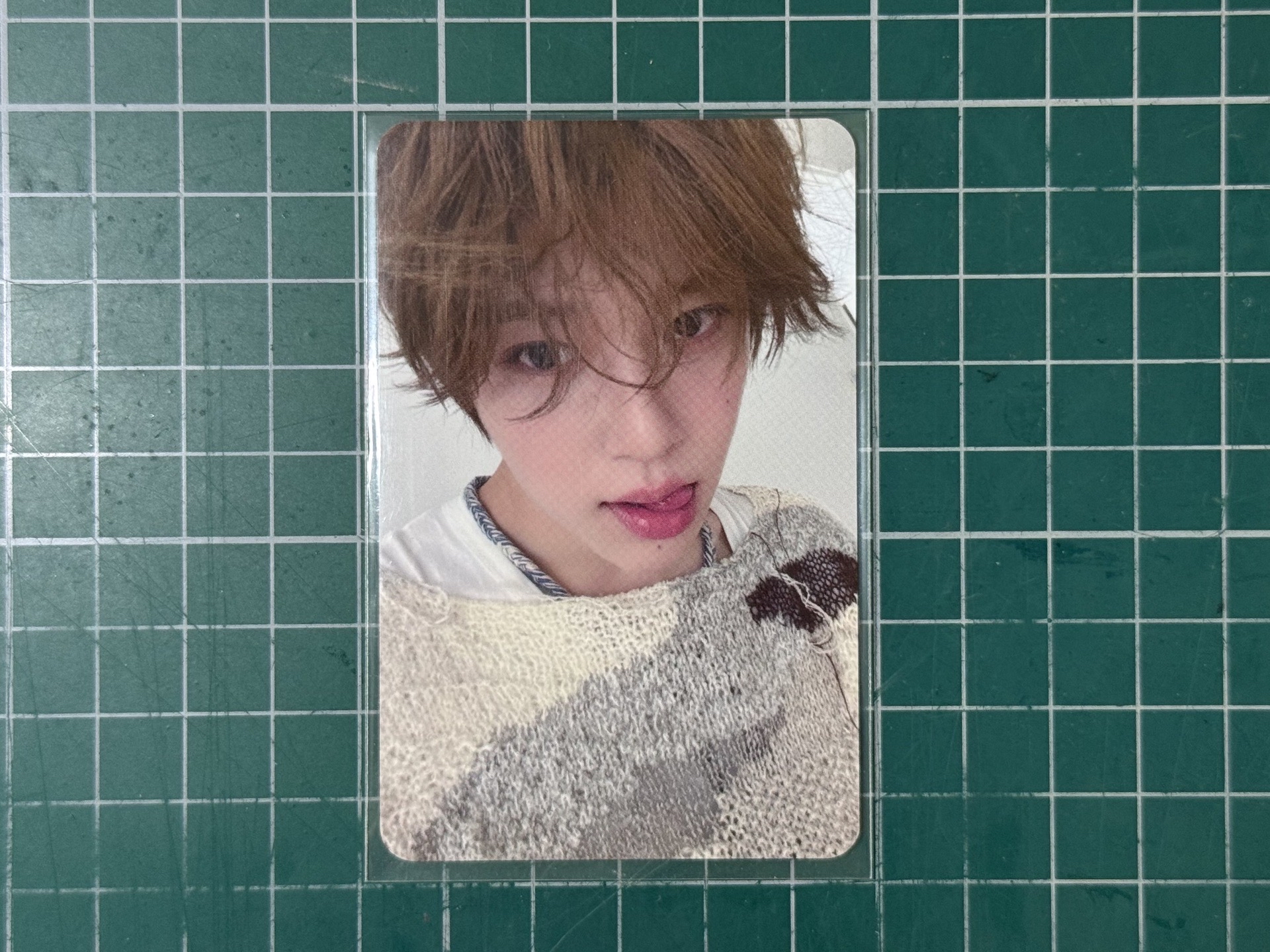 Sion Steady wm幸運卡