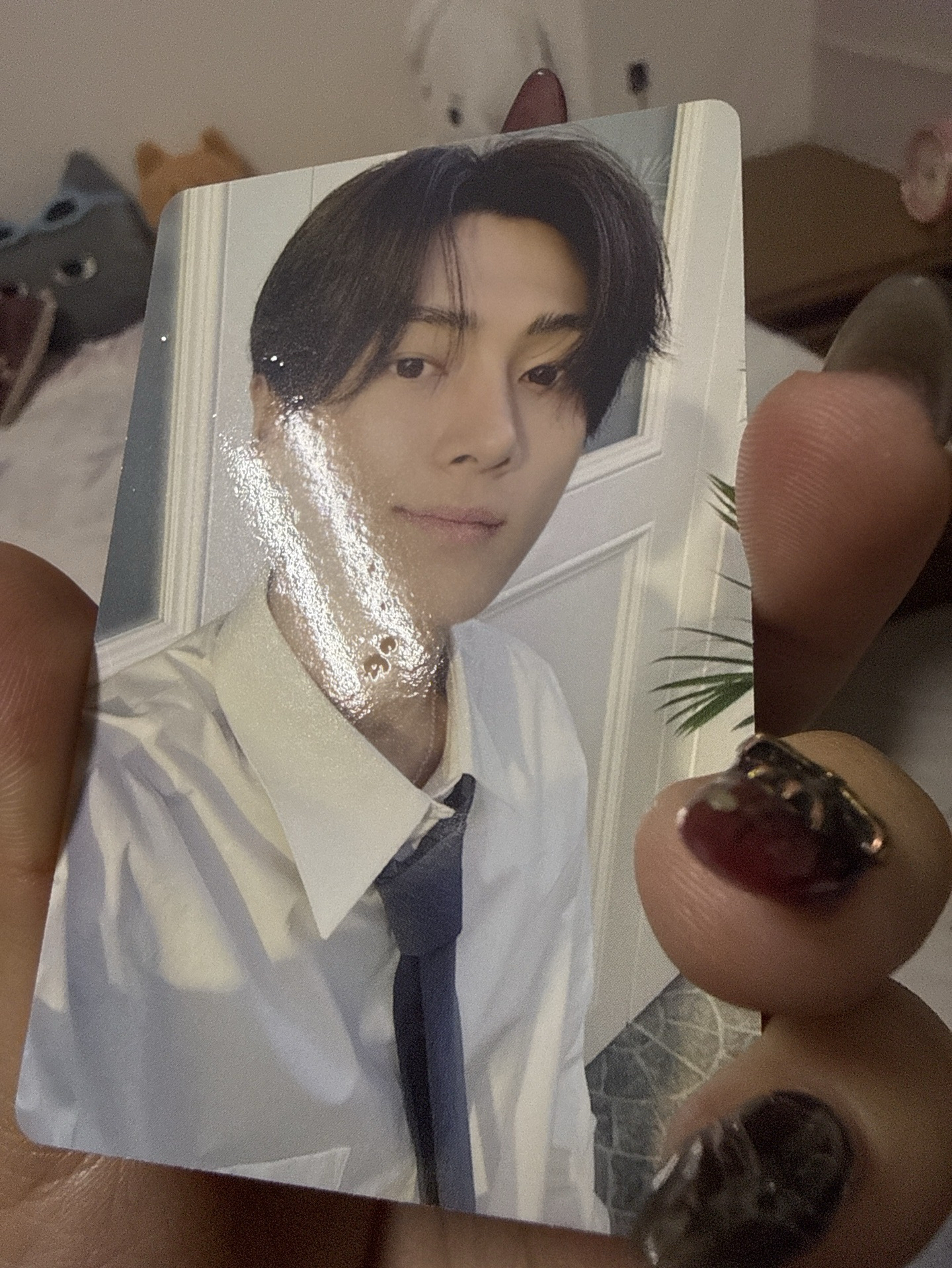 enhypen D社朴綜星小卡