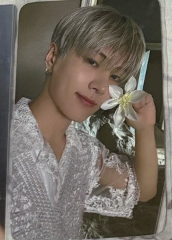 enhypen 朴綜星迷五打歌卡