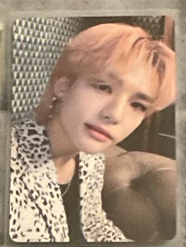 🍄五星wm特典辰 