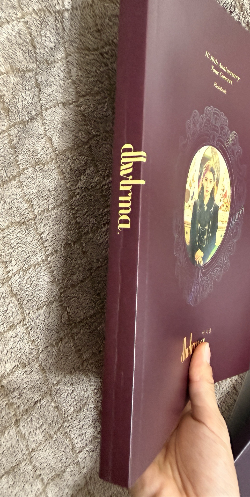 IU十週年演唱會DVD 已拆 含小卡