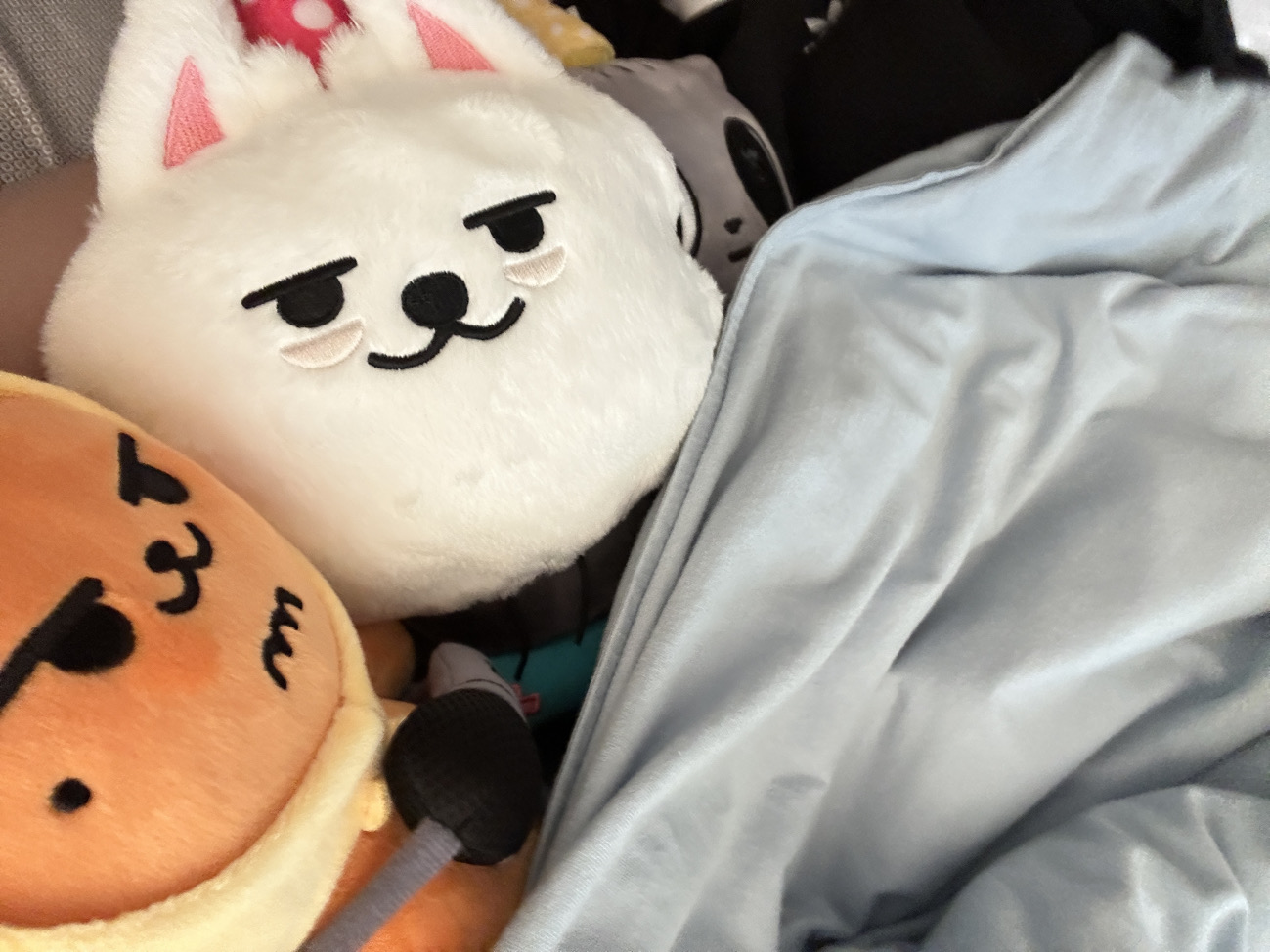 姜太顯的大眼睛