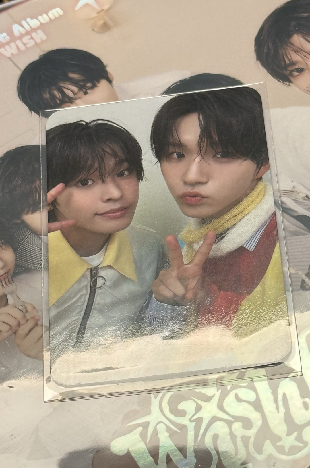 ✌️🐱✌️🐶