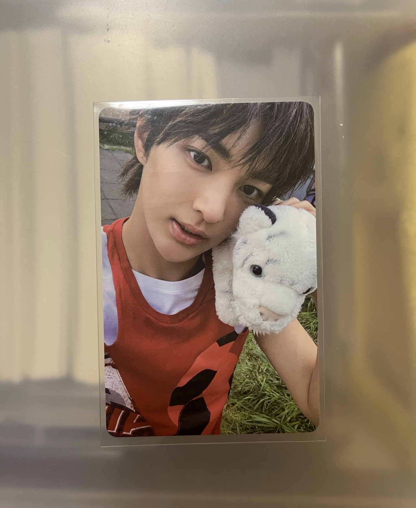 安乾鎬 電子專 專卡