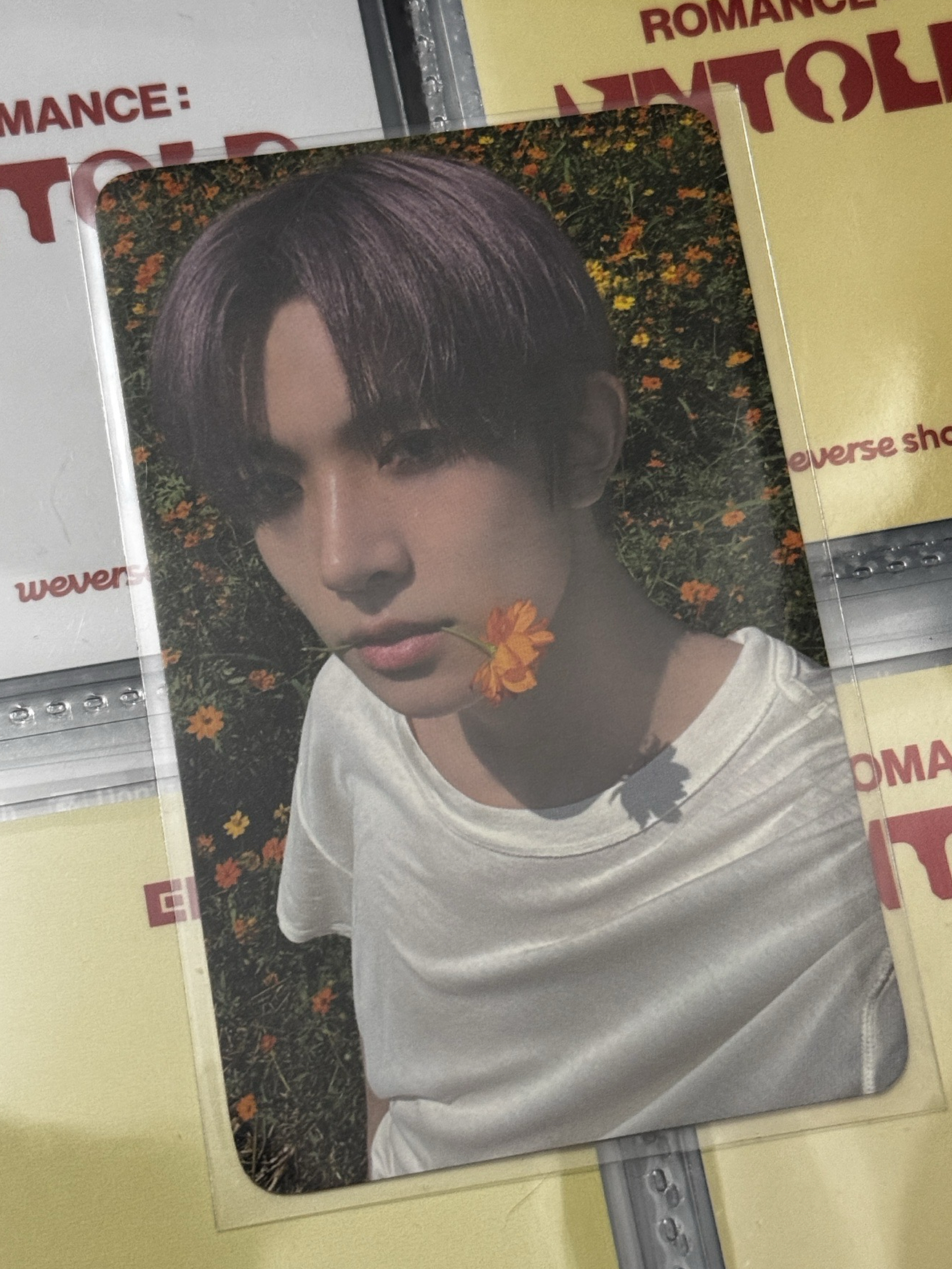 羲承 迷五sc入場