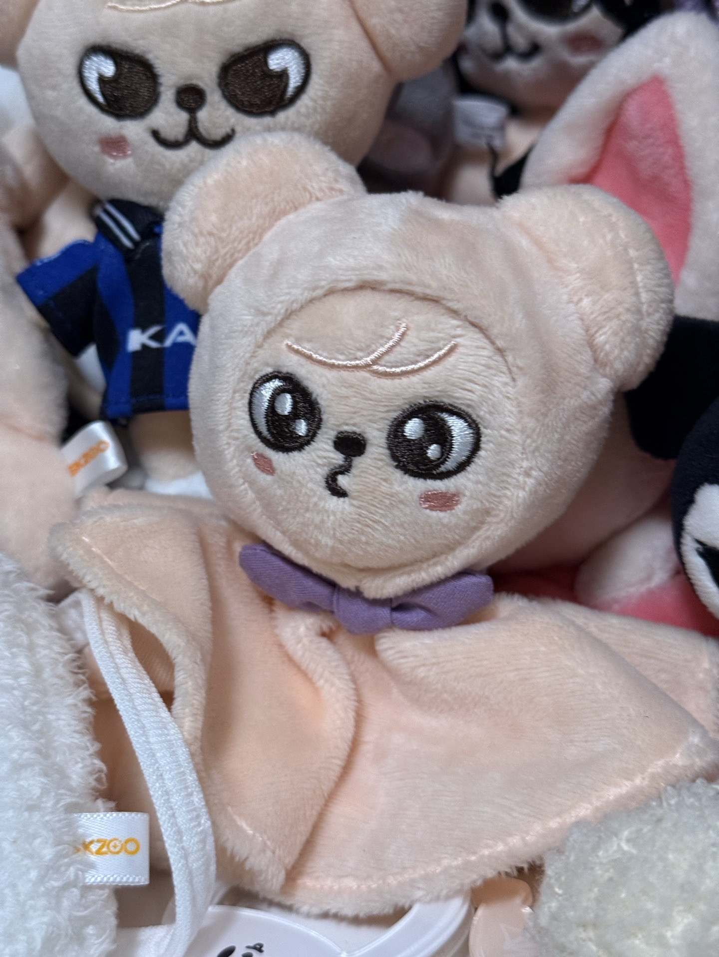 靜岡 晴天娃娃🐶