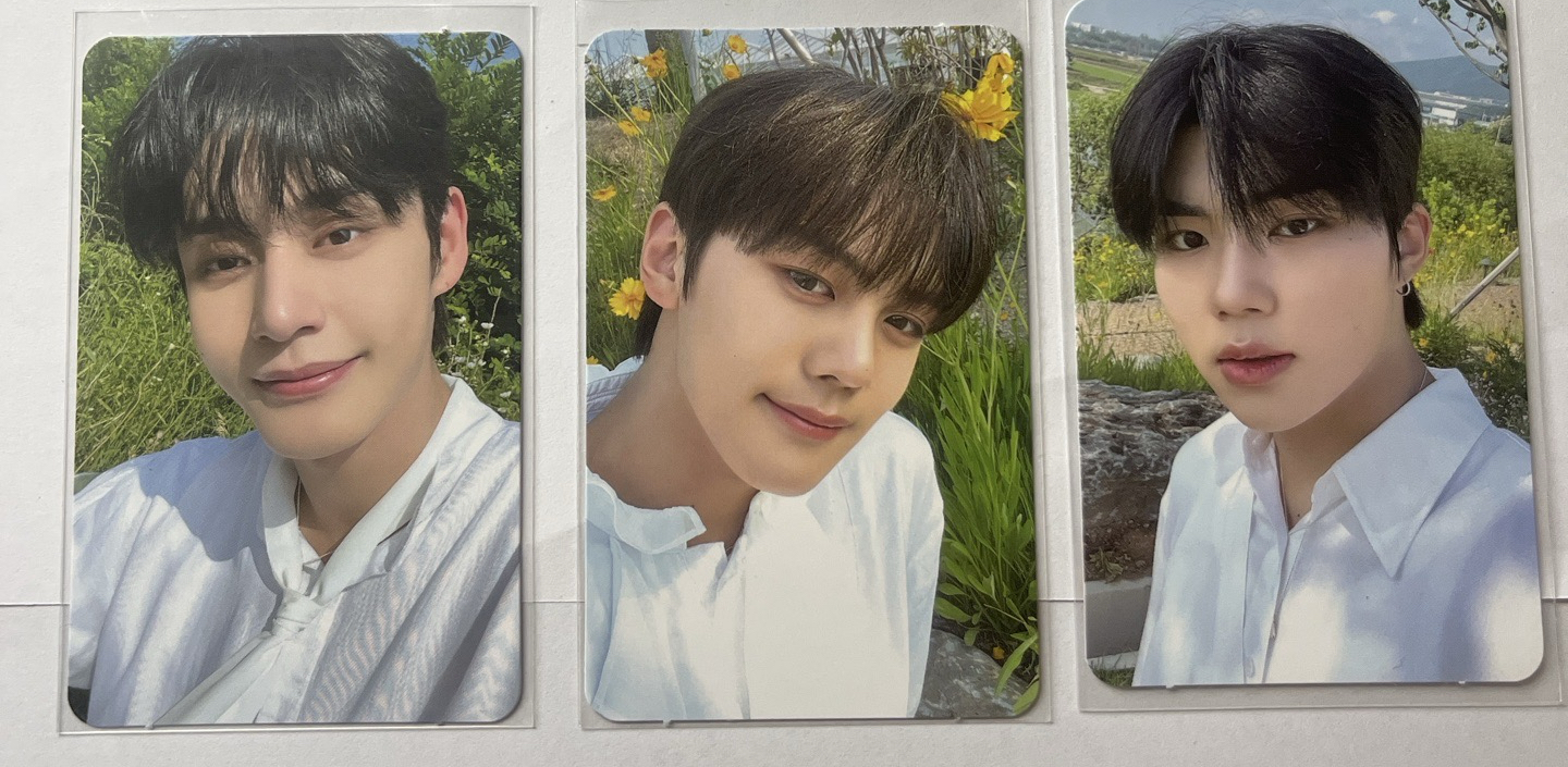 zb1 迷一 sw幸運卡