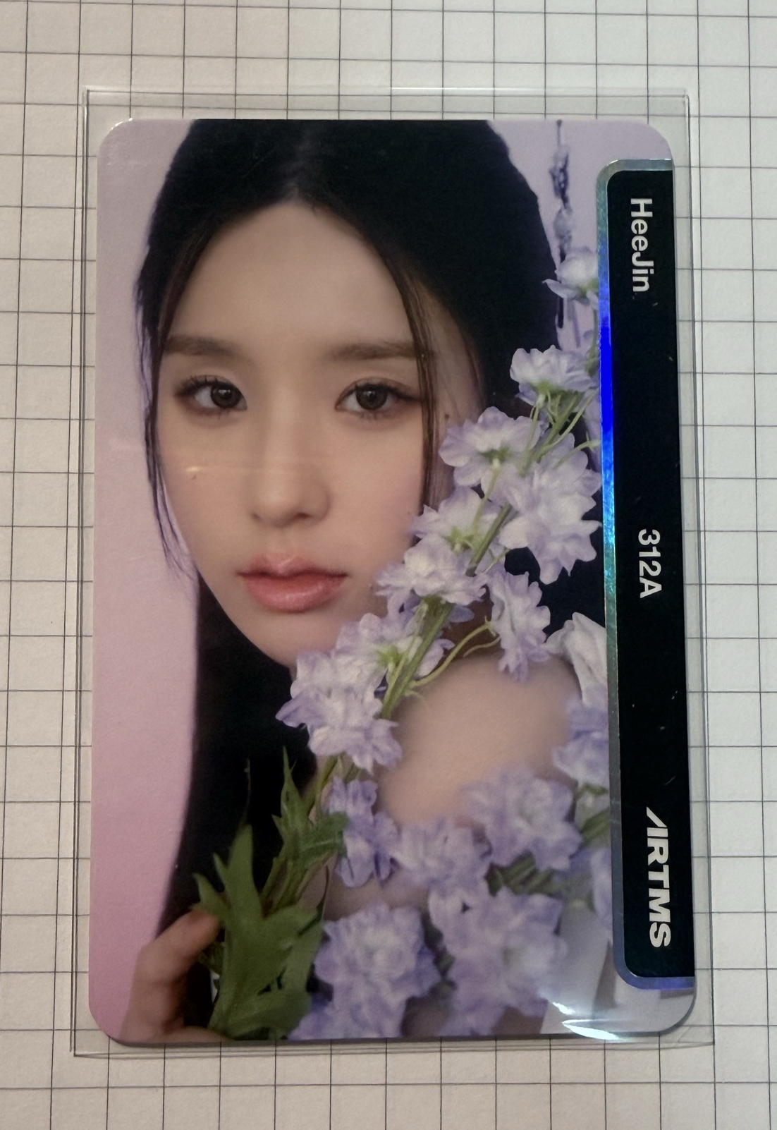 姬振Oma紫花 未掃