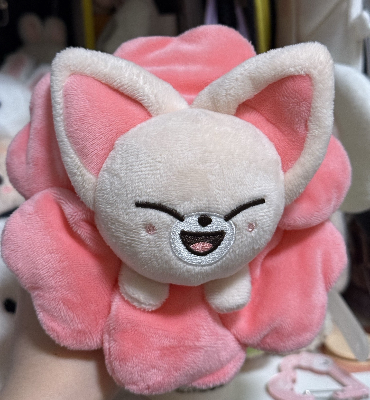 日本快閃鉛筆盒🦊