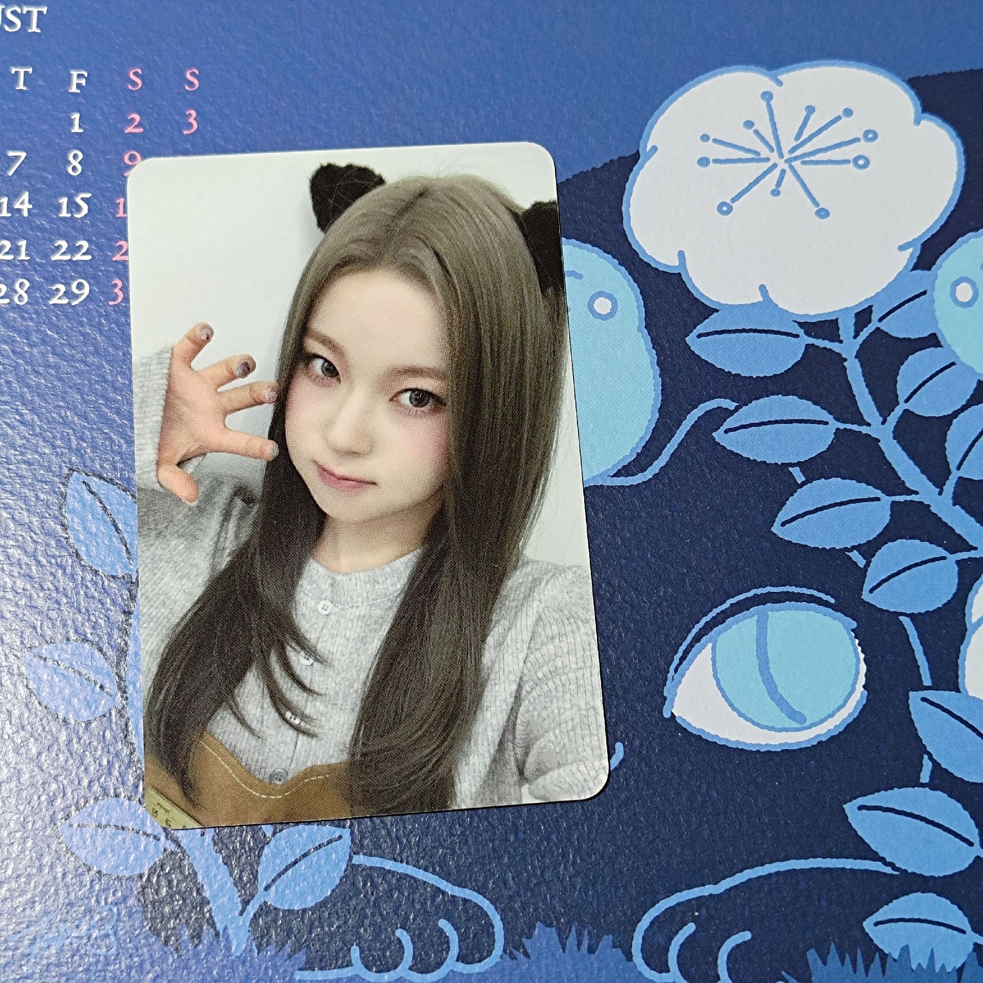 AM動物咖啡店圭（可單出）