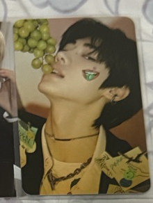 enhypen 蝦皮特典成訓葡萄訓