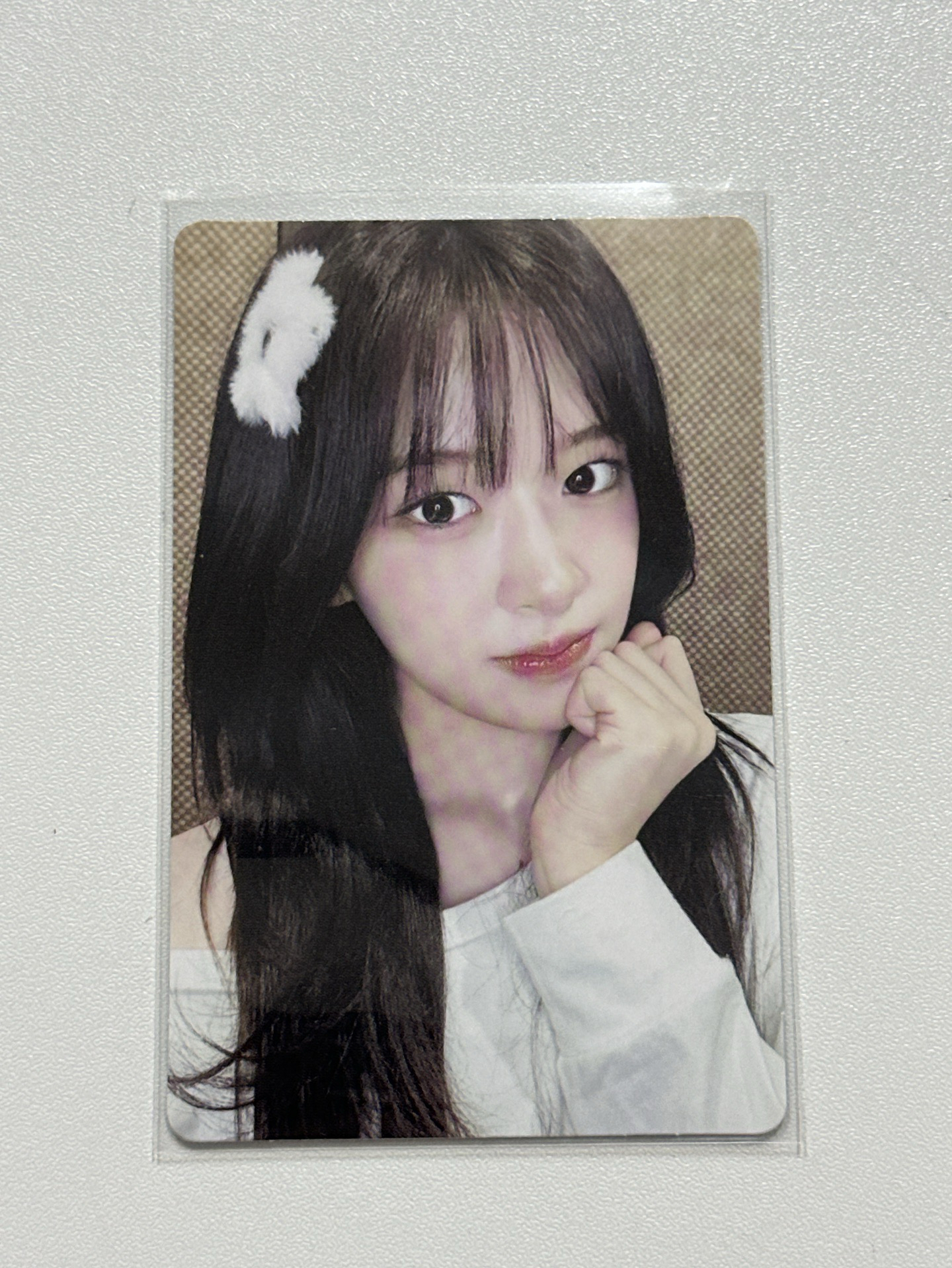 fan concert 安幸運卡