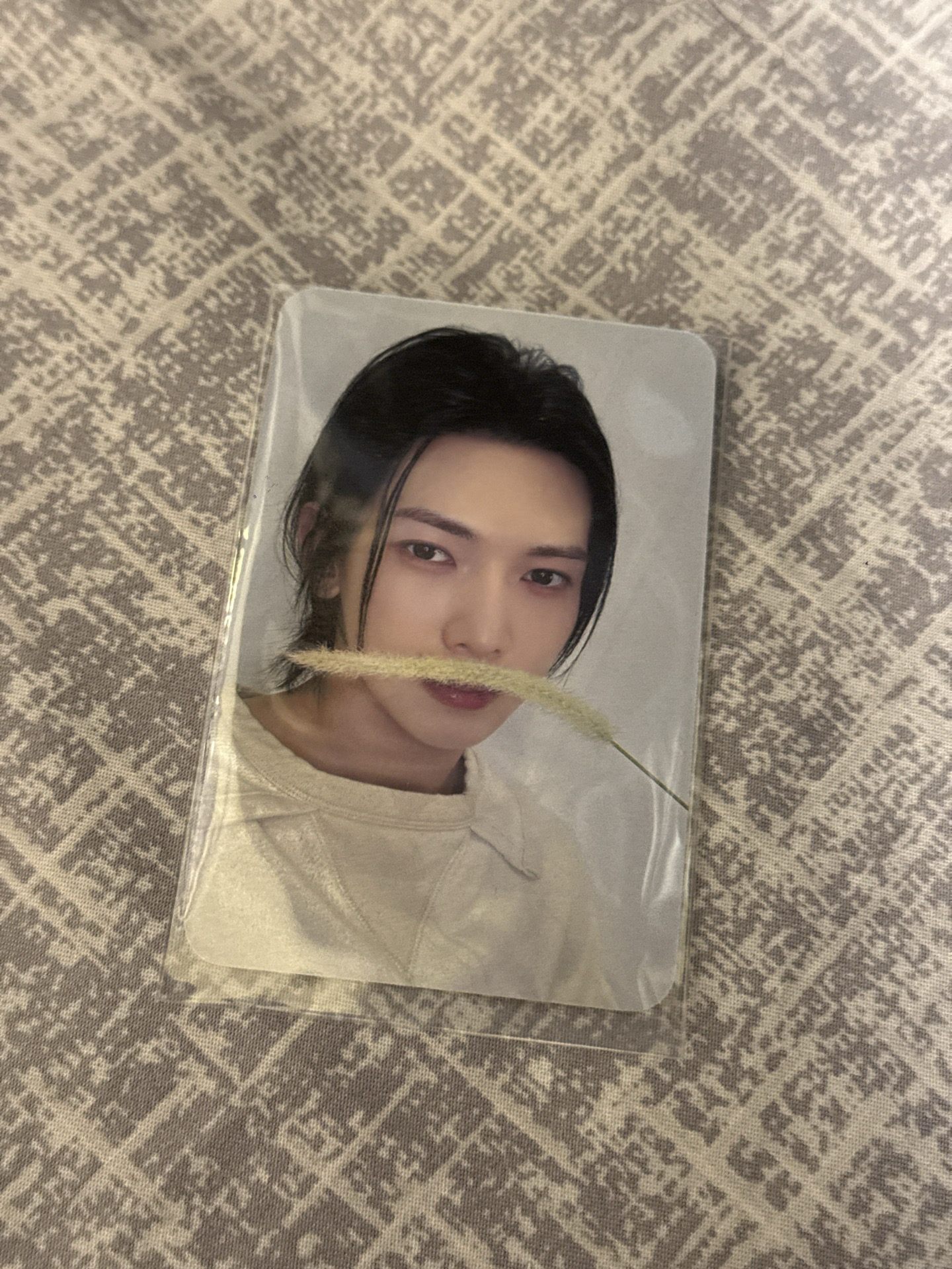 GH3 dmm 特典卡 狗尾草ver. 