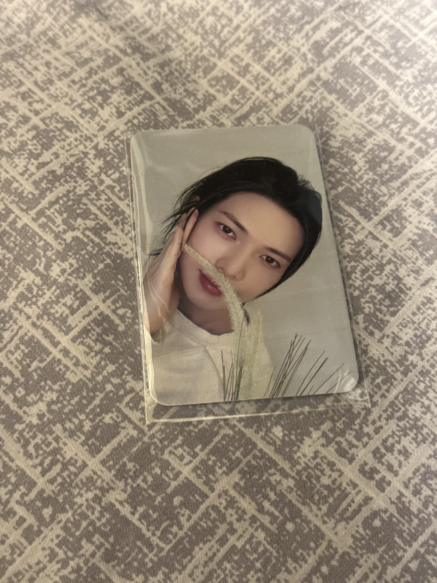 GH3 dmm 特典卡 狗尾草ver. 